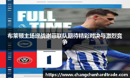 米兰布莱顿主场迎战谢菲联队期待精彩对决与激烈竞争